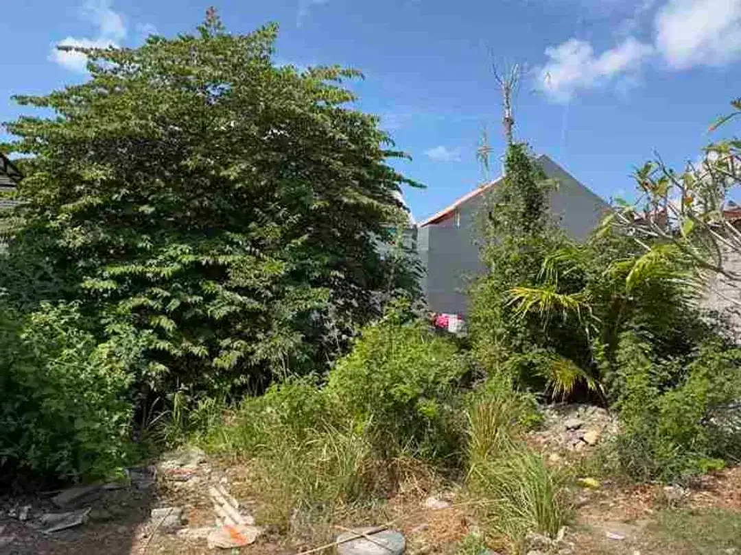Dijual Super Murah Tanah 150m2 Di Jimbaran Dekat Imigrasi - Image 2 of 8
