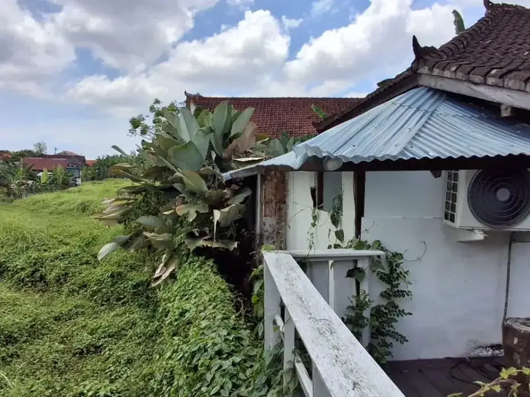 Disewakan tanah ex resto dan pool di jalan utama Tibubening Canggu - Image 3 of 6