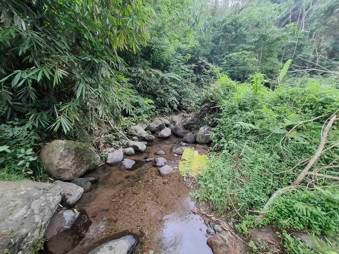 dijual tanah kebun dengan view sawah dan los sungai kecil yang sangat indah dan strategis di ketinggian 600mdpl - Image 1 of 10