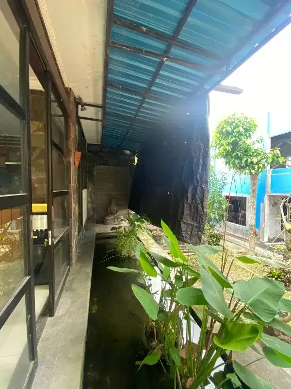 Dijual  Villa di area Sanggulan Tabanan  Bali - Image 10 of 10