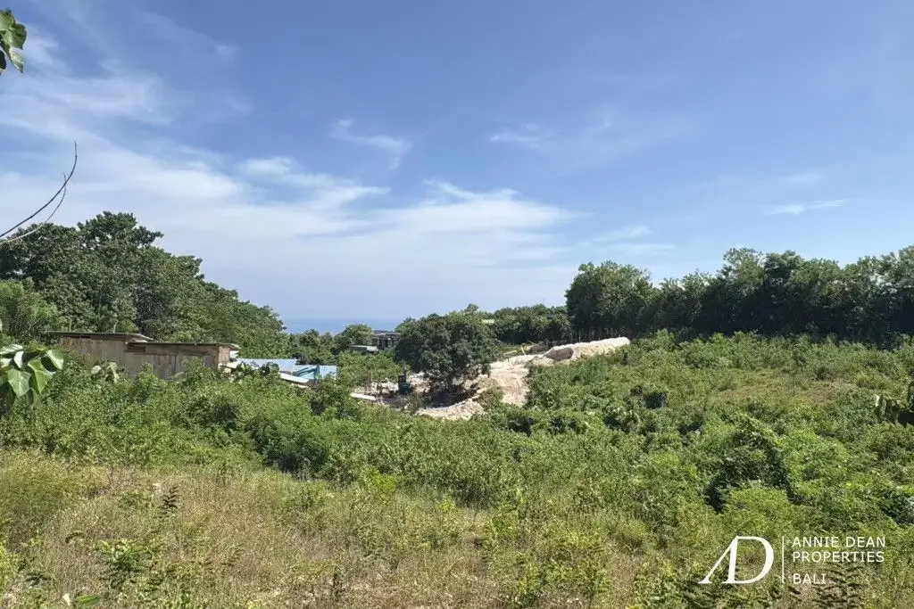FREEHOLD LAND IN PECATU WITH OCEAN VIEW - PRIME FOR VILLA DEVELOPMENT - Image 5 of 6