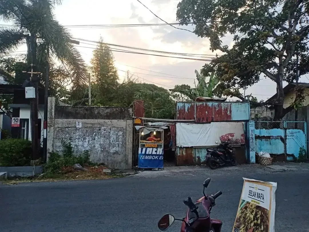 Tanah murah di gelogor carik bali denpasar - Image 2 of 3