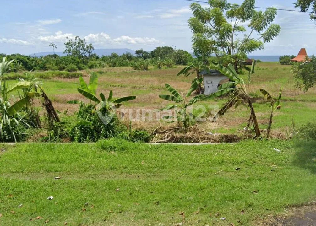 Dijual Tanah Luas 22,7 Are Pinggir Bypass Mantra Daerah Siut, Lebih Gianyar Bali, Zone Merah Cocok untuk Gudang dan Bisnis Lainnya - Image 4 of 4