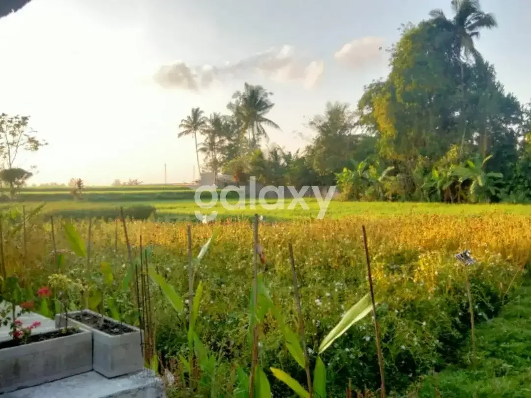 VILLA RAYA TUNON SINGAKERTA UBUD GIANYAR, BALI - Image 8 of 8