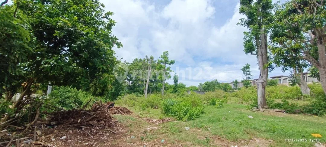 Prime Development Land For Sale Or Lease - Pecatu, Bali - Image 1 of 4