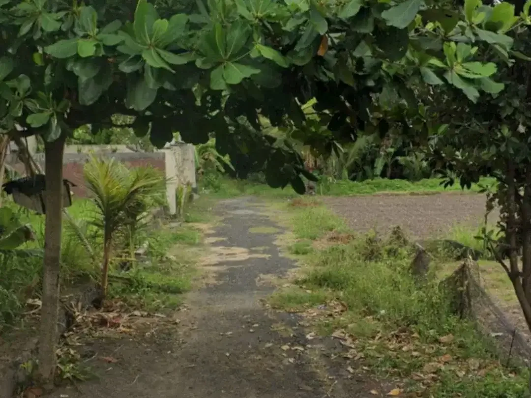 BUC 2 Are Lingkungan Villa di Saba Gianyar - Image 3 of 6