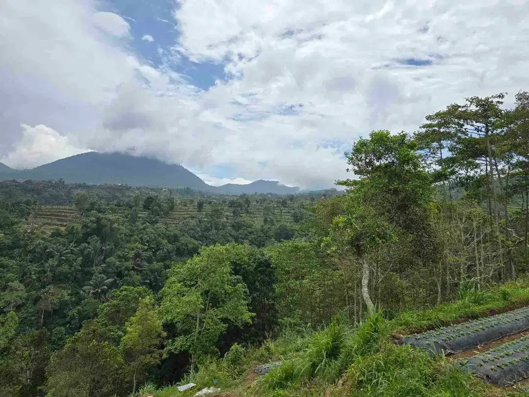 Dijual tanah datar landai view gunung dan lembah di tabanan bali - Image 2 of 10