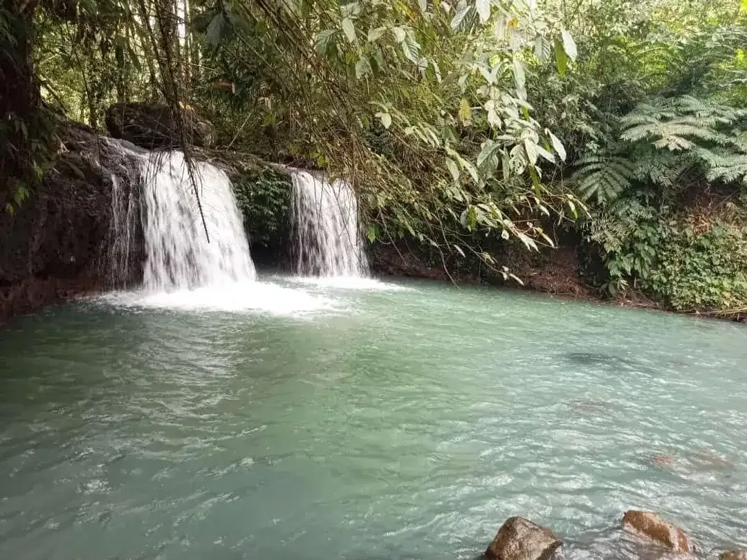 Tanah Tepi Air Terjun Wisata Gunung Salak Selemadeg Tabanan Bali - Image 8 of 9