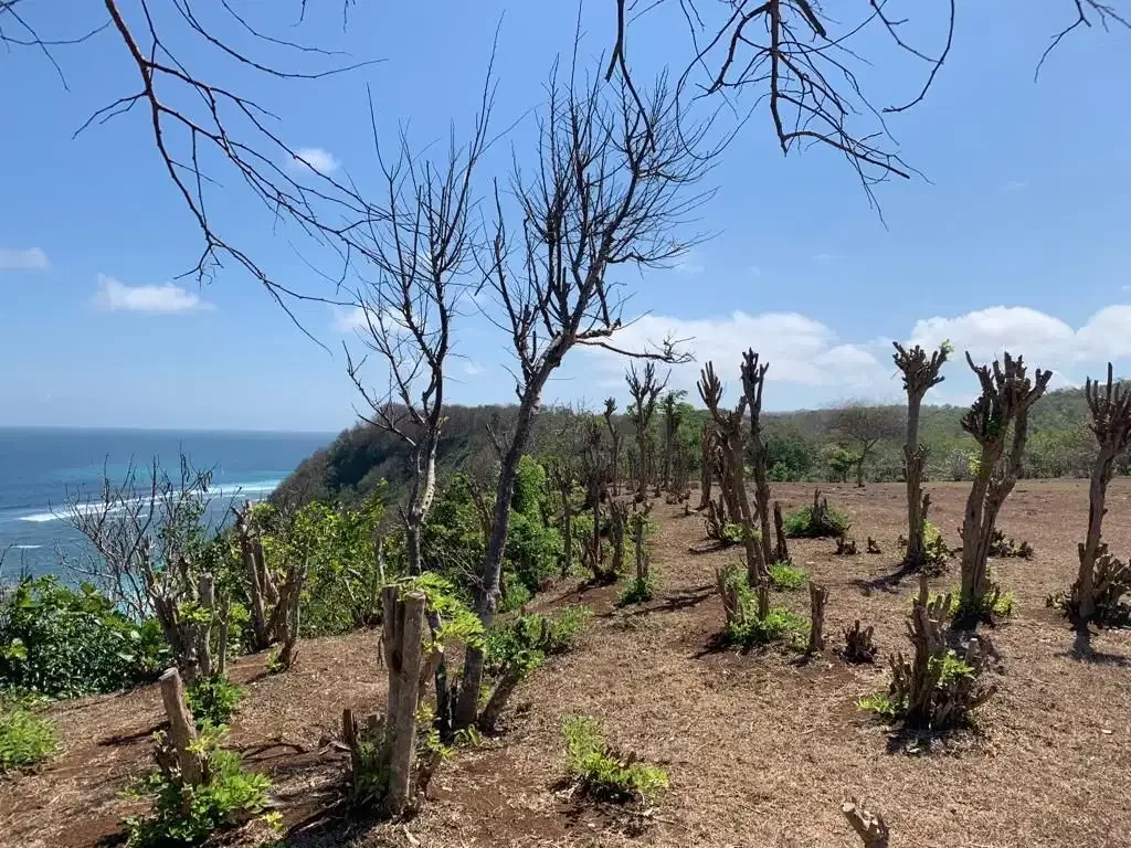 DIJUAL TANAH PINGGIR TEBING PANTAI PANDAWA KUTUH BALI - Image 2 of 5