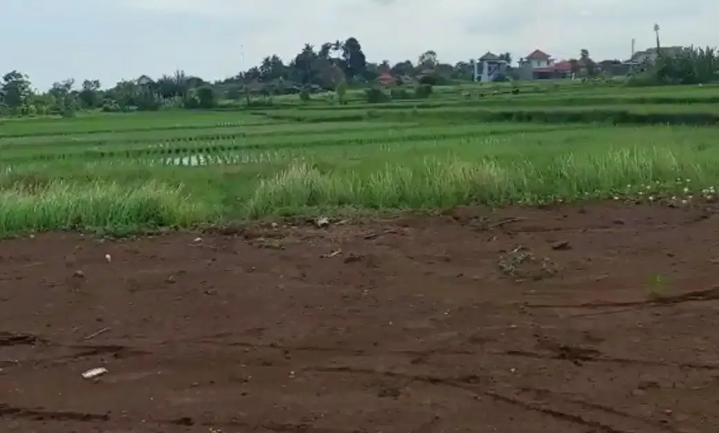 DIJUAL TANAH DEKAT PANTAI KEDUNGU TABANAN - Image 3 of 6