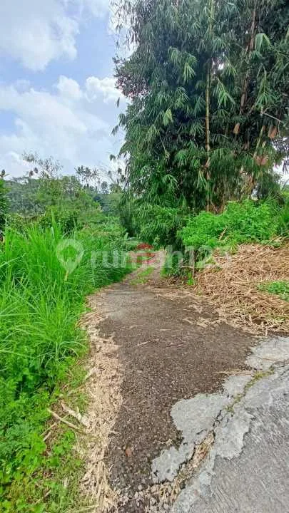 Tanah Jual Lokasi Belok Sidan - Image 3 of 3