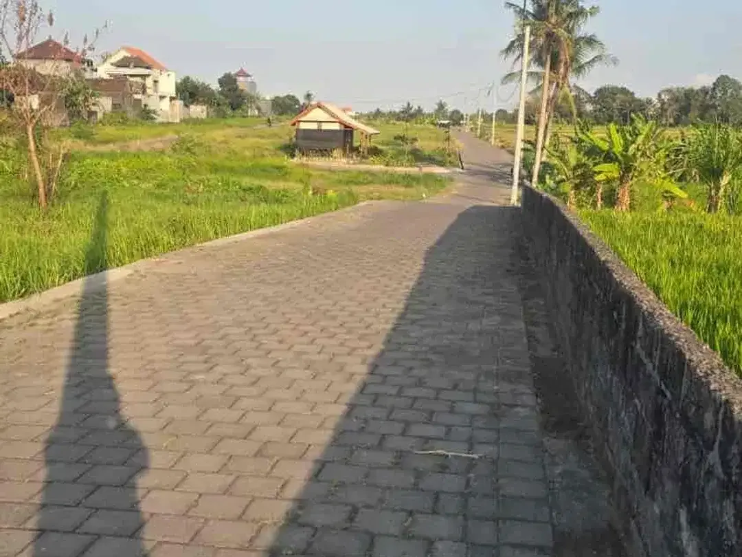 Tanah Kedungu view sawah dkt Jalan utama bisa 2-3 unit villa - Image 5 of 6