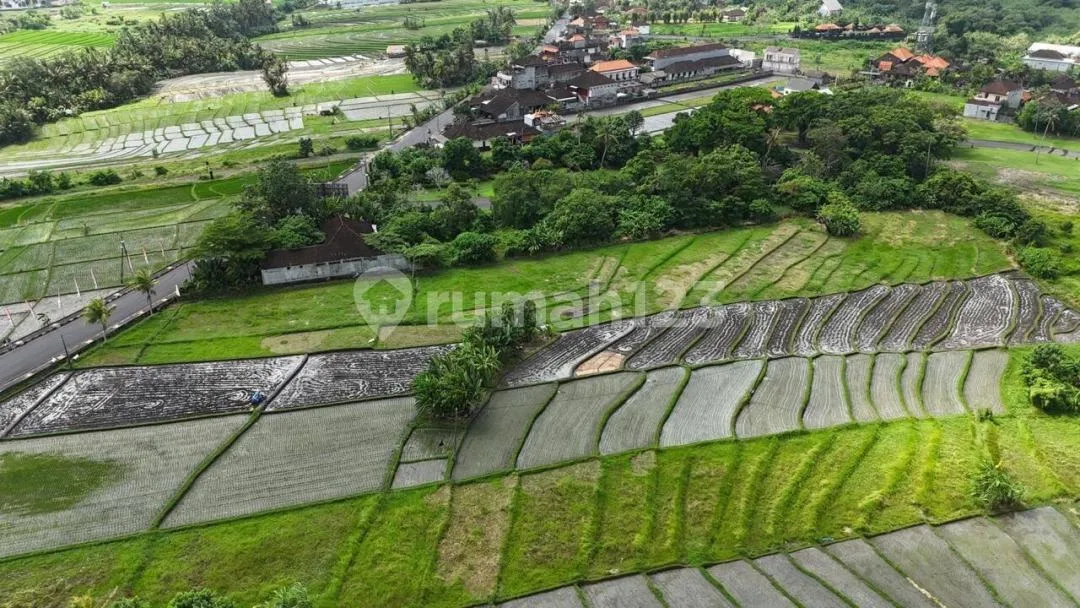 A Prime Investment Opportunity Of 49 Are Land With Excellent Accessibility - Image 4 of 4