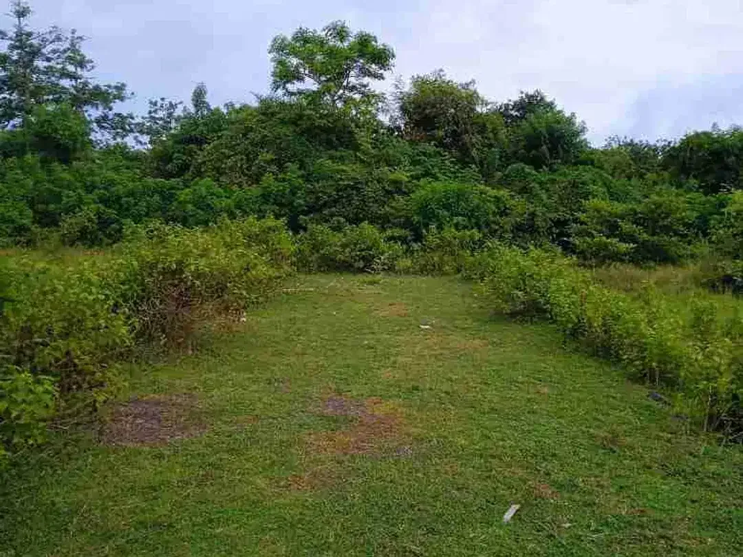 tanah plot Kecil 550m² IDR 950 jt/are Kawasan pantai Balangan Jimbaran Kuta Selatan Badung Bali - Image 5 of 7