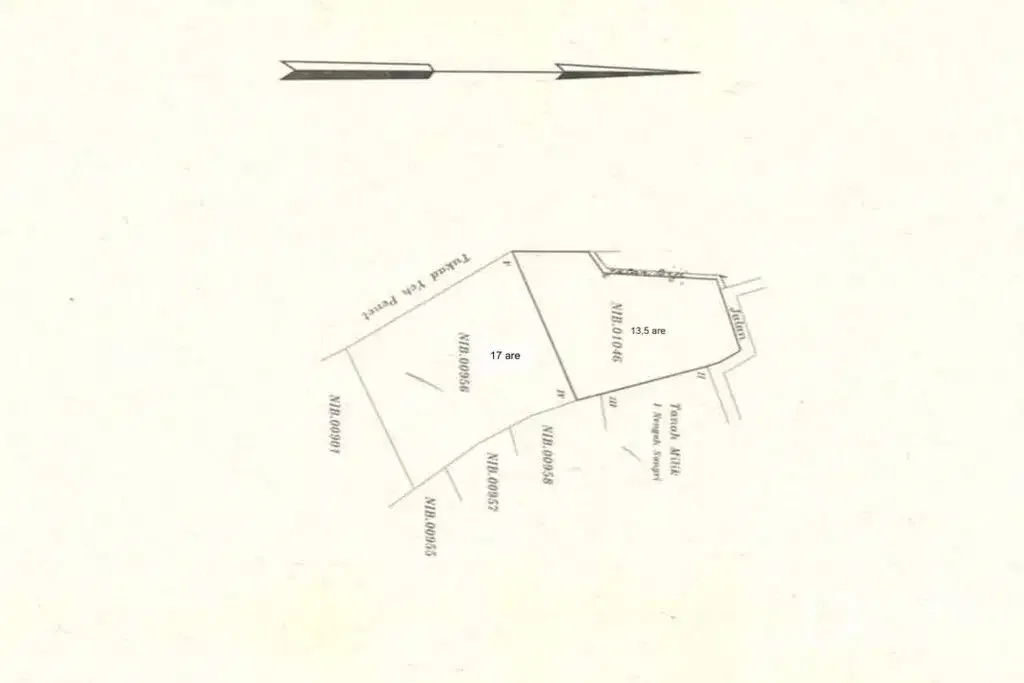 FREEHOLD RIVERFRONT LAND WITH JUNGLE VIEWS - PRIME INVESTMENT IN CEPAKA - Image 2 of 5