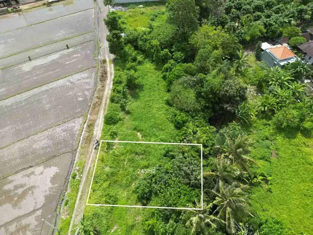TANAH DIJUAL CEPAT LOKASI KEDUNGU NYITDAH - BALI - Image 2 of 4
