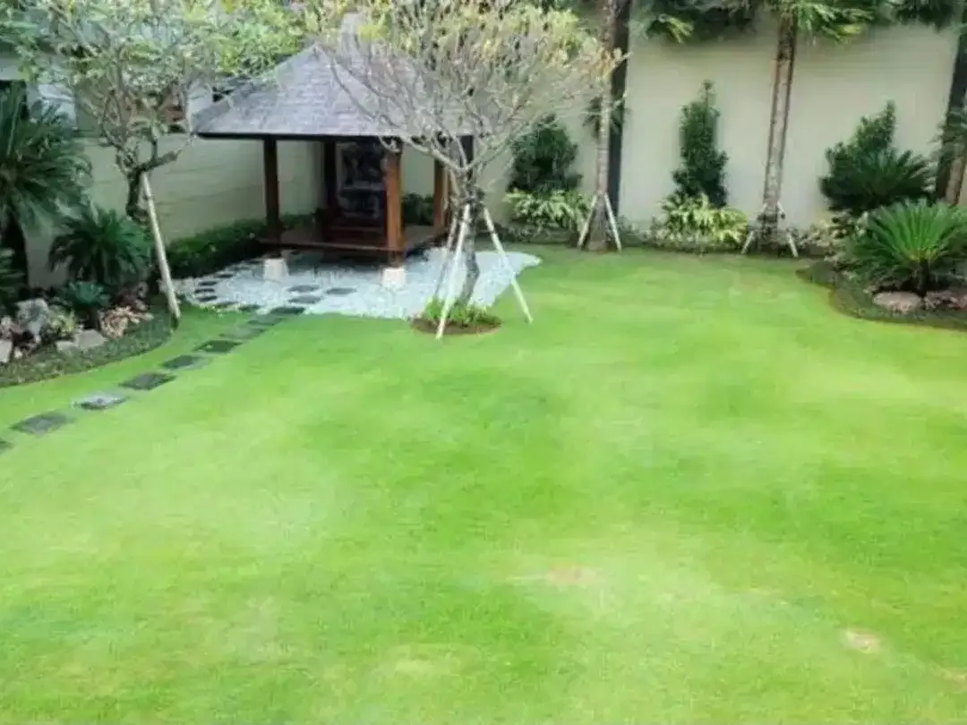 Dijual Rumah Mewah 8Kamar Kawasan Elite Moh Yamin Renon Denpasar - Image 8 of 10