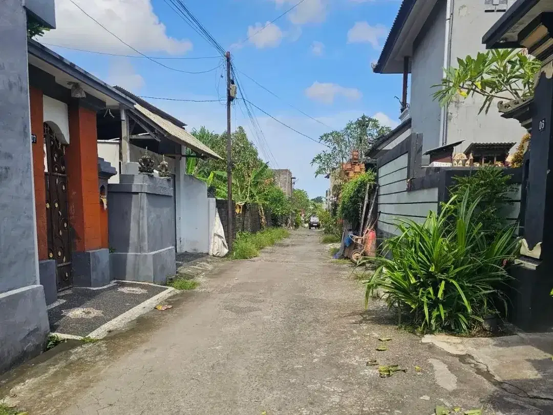 Tanah munggu kediri tabanan - Image 6 of 7