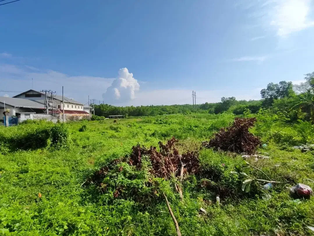 tanah murah siap bangun di jimbaran, dkt tol,lingk perumahan - Image 1 of 5