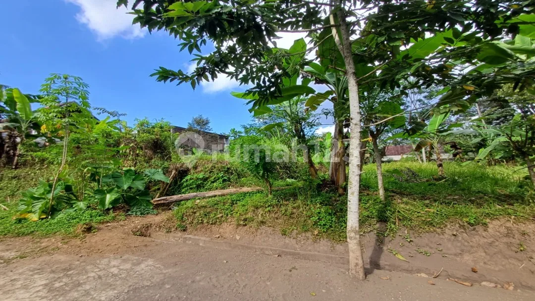 Dijual Tanah Kawasan Villa Di Ubud Central view pedesaan - Image 4 of 4