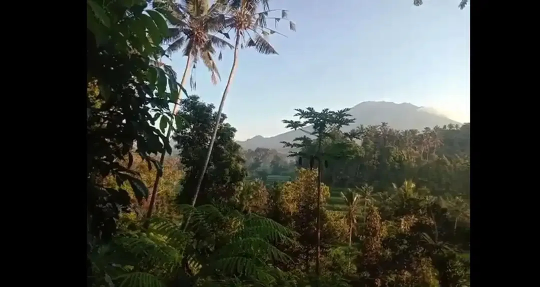 Land 12a for Sale close to Sidemen Traditional Village Bali - Image 4 of 4