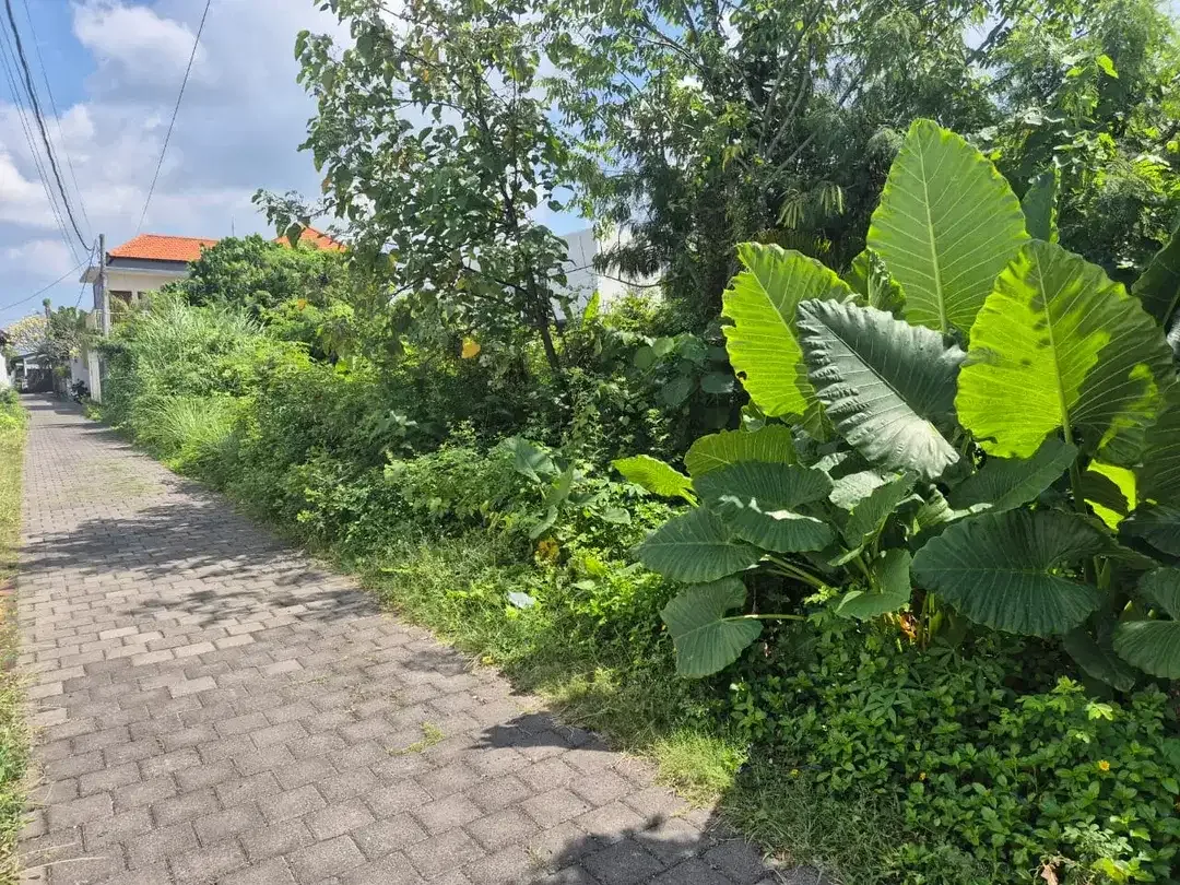 Freehold - Rare opportunity sale Land in Prime location Umalas, Bali - Image 9 of 10
