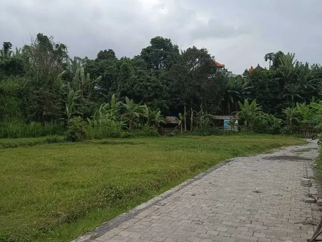 Land for sale in Kediri, Bali - Image 6 of 10