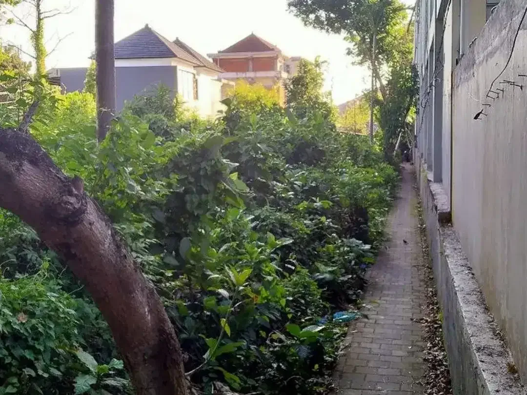 Tanah Premium 20 Are Dipinggir jalan Disewakan, di Denpasar Timur - Image 2 of 4