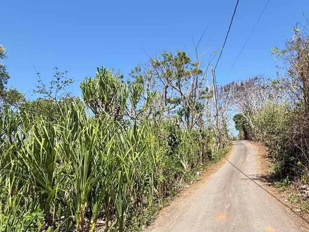 DIJUAL TANAH OCEAN VIEW – BELIMBING SARI III, PECATU BALI - Image 9 of 10