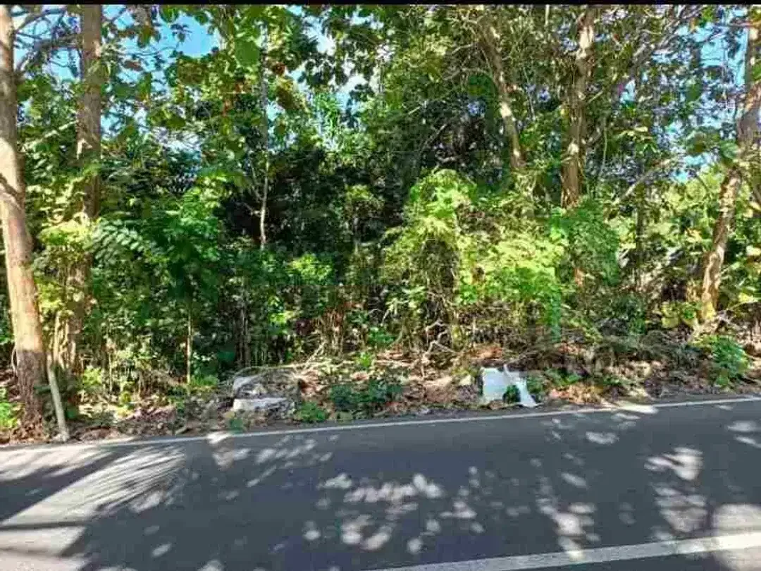 dijual tanah 1 hektar IDR 550 juta per are dekat Savaya pecatu Kuta Selatan Badung Bali - Image 5 of 6