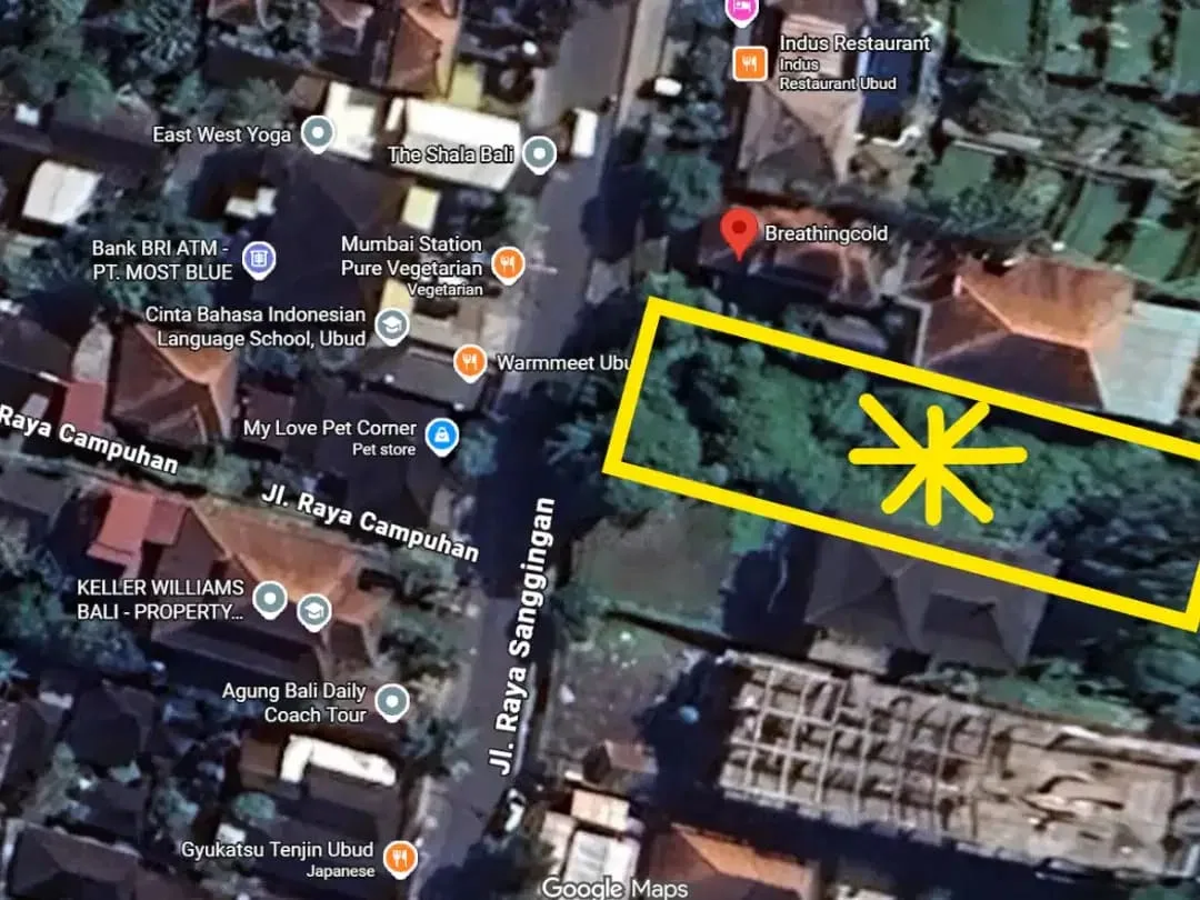 Tanah dijual di jalan raya utama Ubud SHM - Image 3 of 5