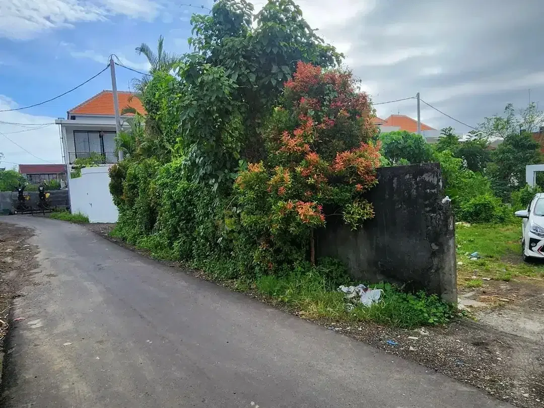 Tanah jantuk angsa pererenan canggu - Image 7 of 7