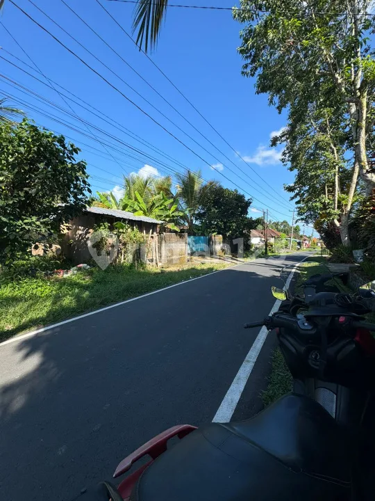 Dijual Tanah Pejeng Timur Ubud Akses Strategis Pinggir Jl Utama - Image 3 of 4