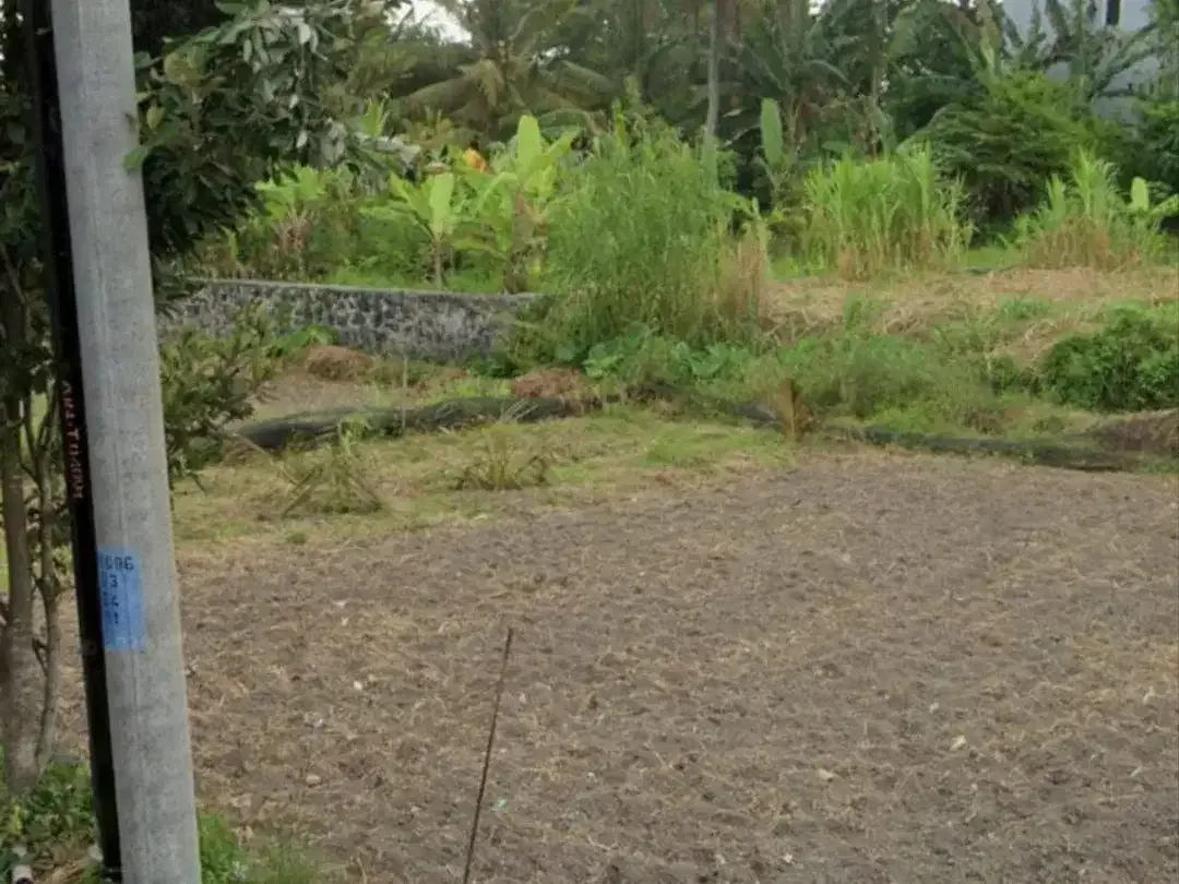 BUC 2 Are Lingkungan Villa di Saba Gianyar - Image 5 of 6