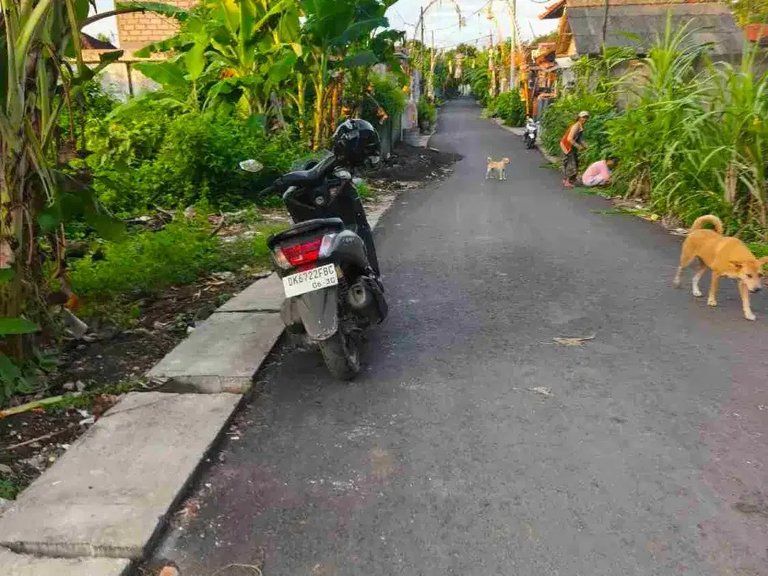 dijual tanah 12,31 are IDR 550 juta per are dekat pantai Balangan Jimbaran Kuta Selatan Badung Bali - Image 4 of 10