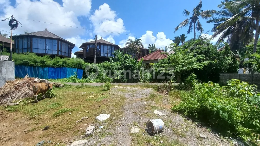 Tanah 13.5 Are Jln Veteran Tiyingtutul Canggu - Image 3 of 4
