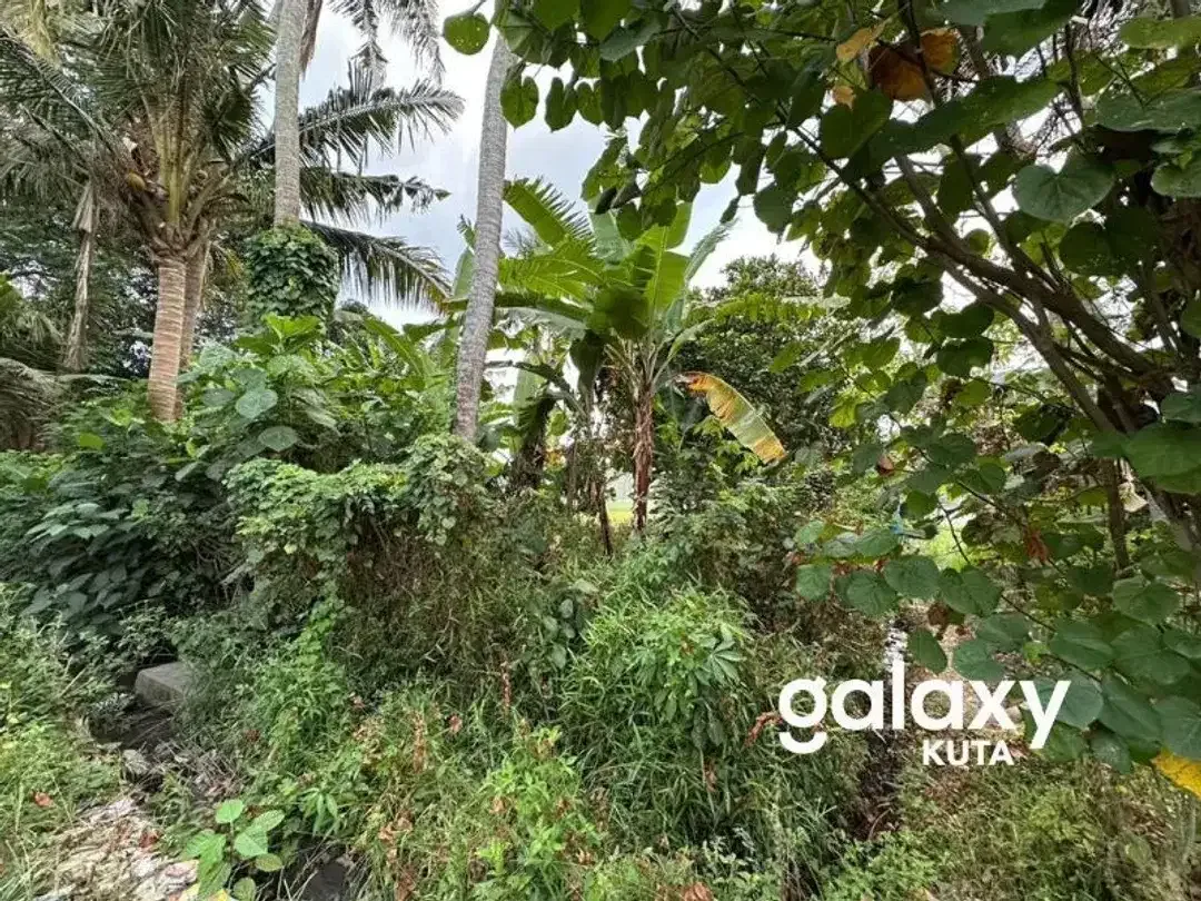 DIJUAL TANAH VIEW SAWAH DEKAT RS KASIH IBU DI TOJAN BLAHBATUH - Image 2 of 10