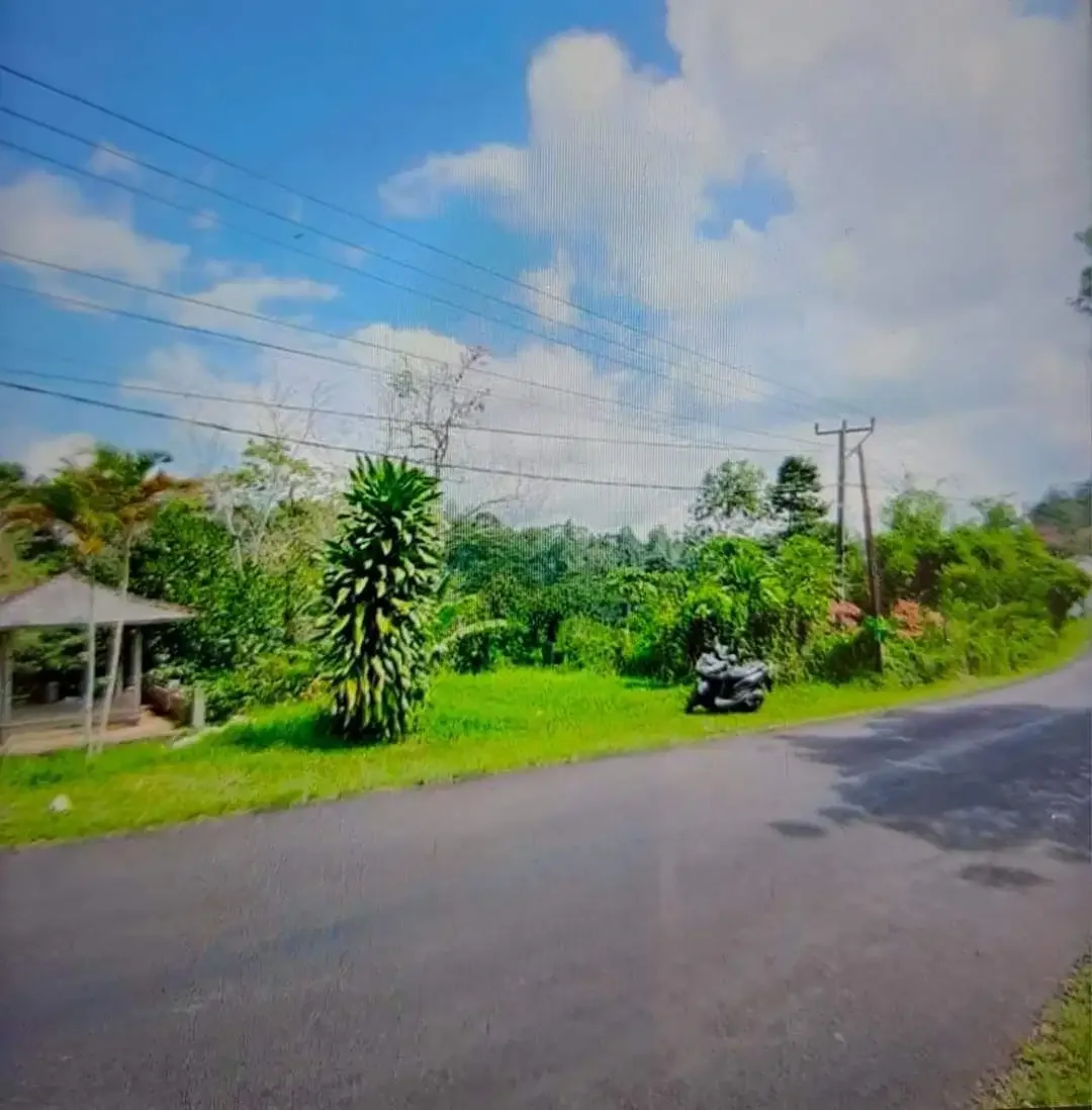 Dijual Tanah Di Jalan Utama Pupuan - Image 3 of 4