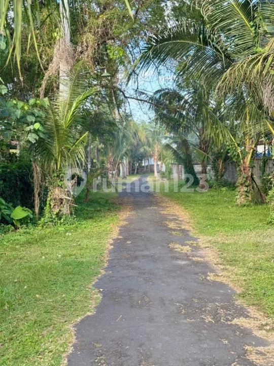 Dijual Tanah - Kemenuh, Selatan Ubud Akses Jalan Mobil dan Truk - Image 4 of 4