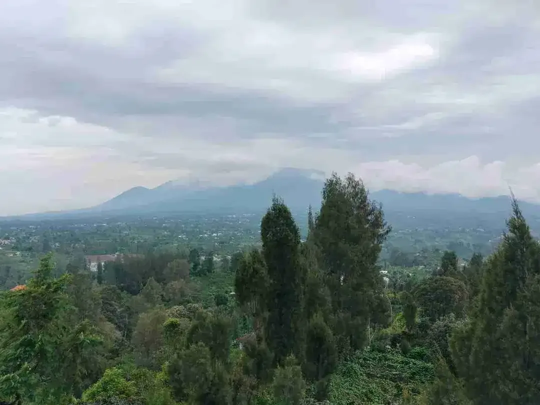 Kebun View Lembah di Kintamani Bangli Bali - Image 3 of 4