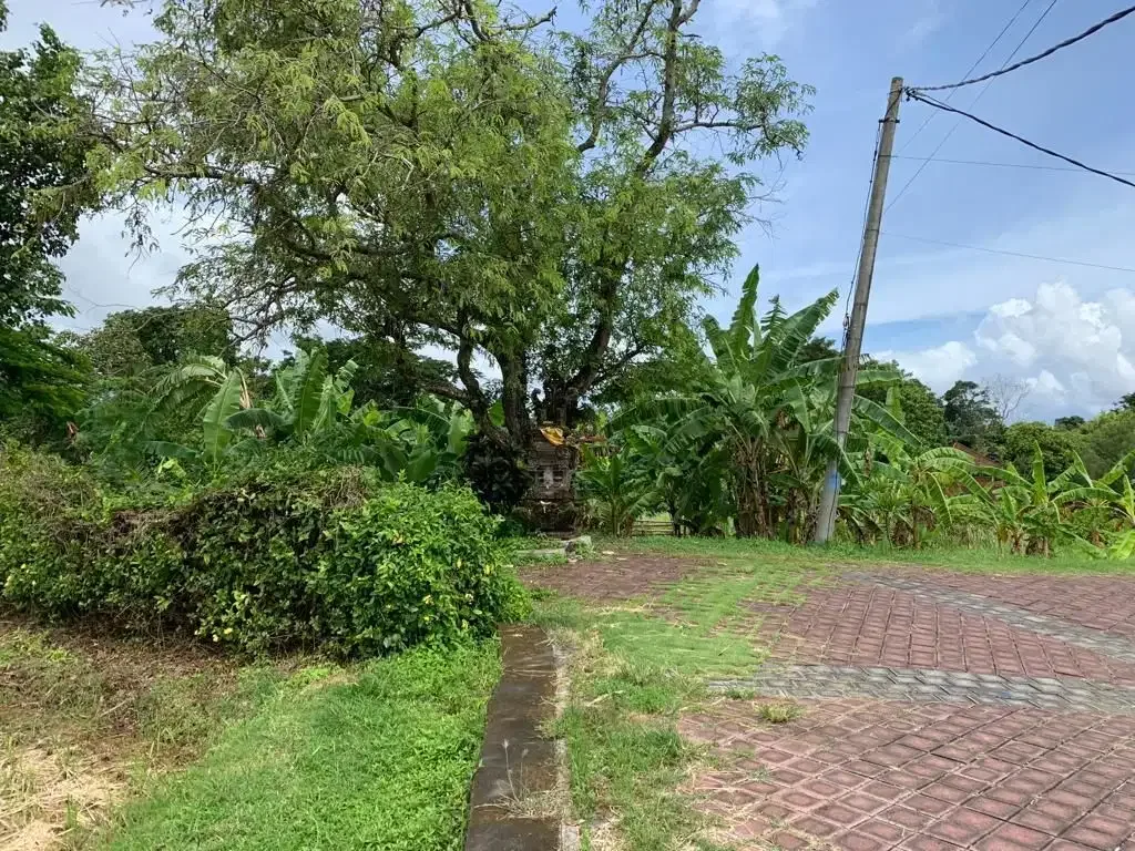 DIJUAL TANAH VIEW SAWAH LOKASI PERERENAN - Image 7 of 10