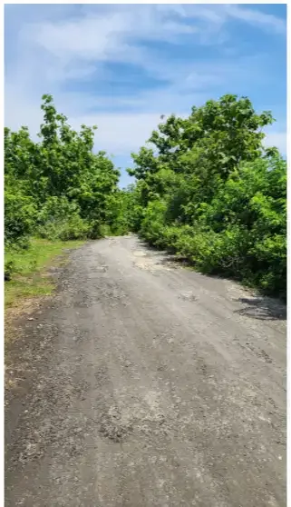 Land for rent next to Villa Prasana Ungasan - Image 7 of 10