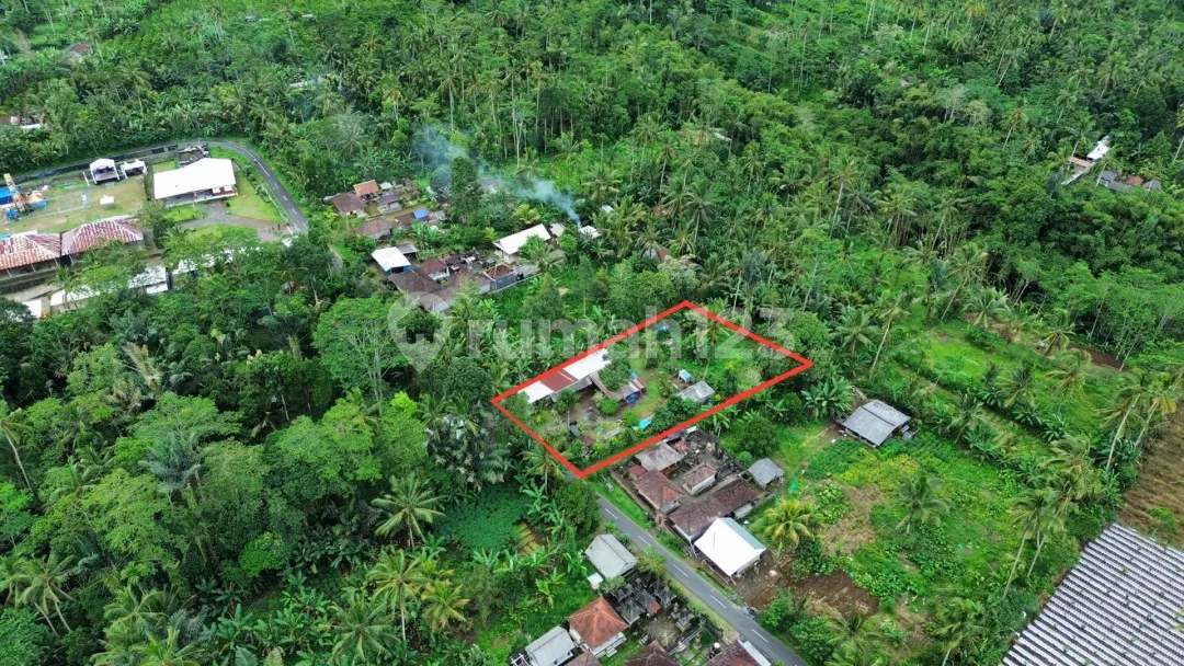 Dijual Lahan Diutara Ubud Lokasi Tegalalang SHM View Jungle Hutan - Image 2 of 4