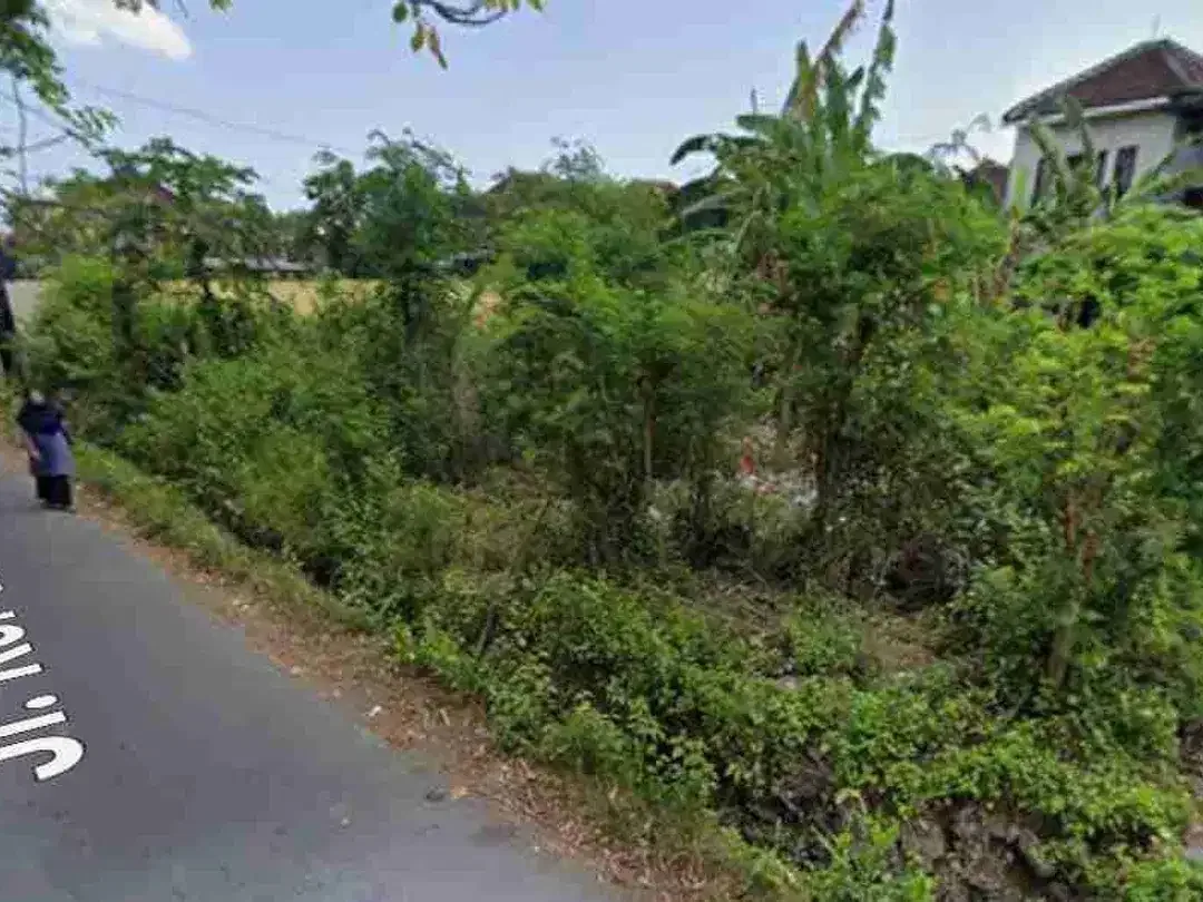 Tanah Perumahan 465m² Akses Aspal Jalan Kor Jimbaran - Image 3 of 10