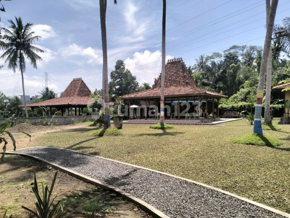 Villa Murah Badung Bali Luas 3800m2 - Image 2 of 4