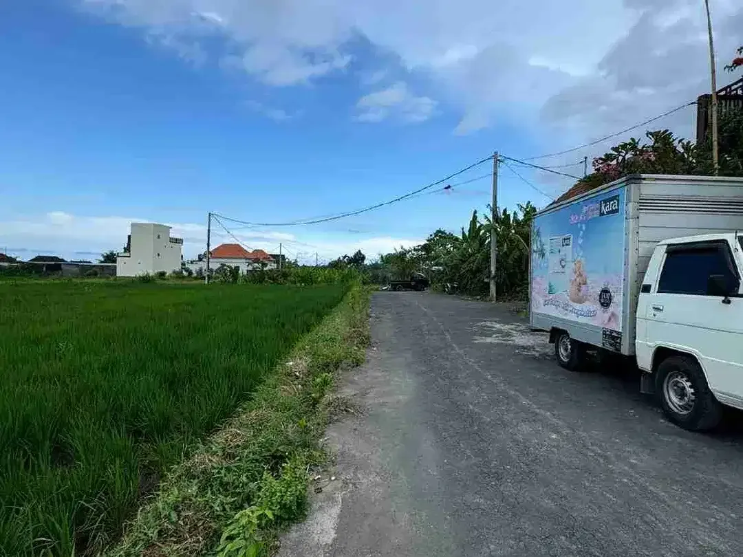 Tanah View Sawah Cantik di Ketewel Dekat Pantai dan Sekolah Internasional - Image 5 of 8