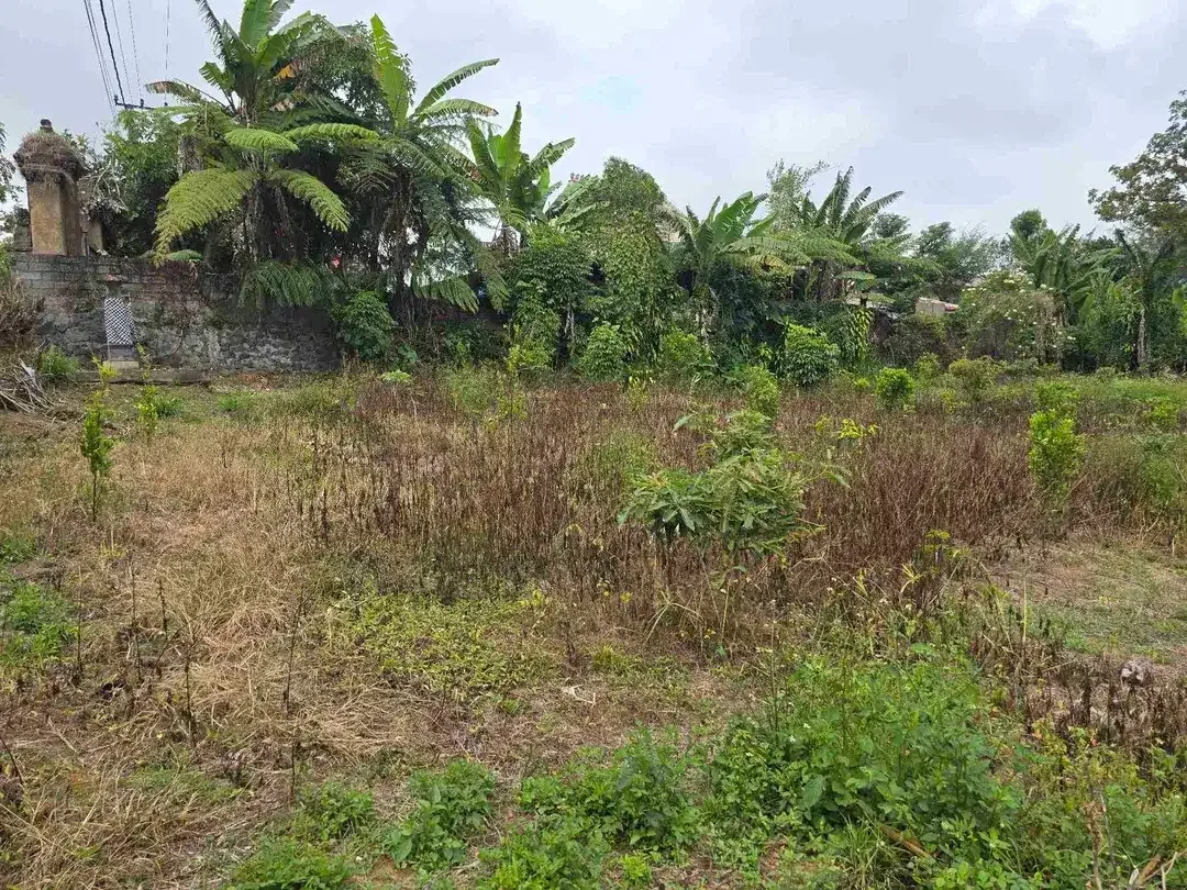 Dijual tanah kecil di.lingkungan villa kintamani bali - Image 8 of 10