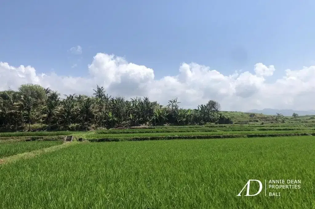 FREEHOLD BEACHFRONT LAND IN PEKUTATAN (3,000 M2) IN TOURISM ZONE - Image 9 of 10