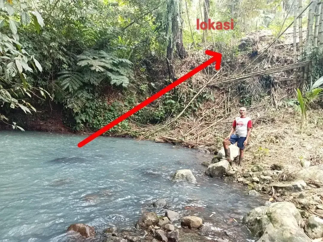 Tanah Tepi Air Terjun Wisata Gunung Salak Selemadeg Tabanan Bali - Image 4 of 9