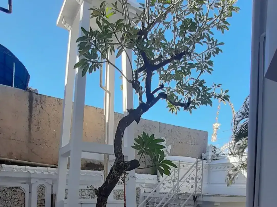 For Sale House  Dijual rumah semi villa  lantai 2 area tuban semi furnish dekat bandara ngurah rai badung - Image 4 of 10
